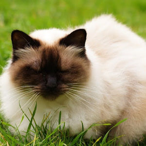 Meet your Posher, Thelma